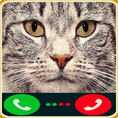 fake call cat Caller icon