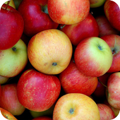 Apple Wallpaper icon