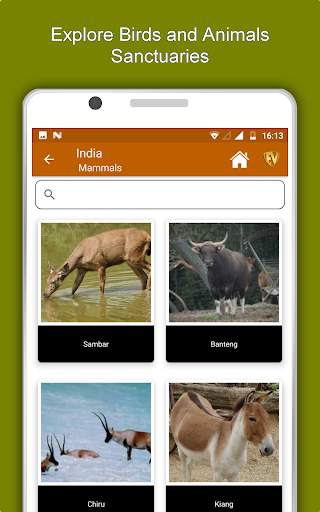 India Travel & Explore, Offline Tourist Guide screenshot 13