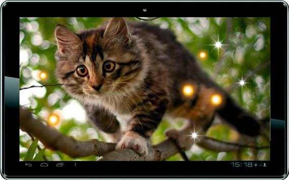 Hello my kitty Live Wallpaper скриншот 1