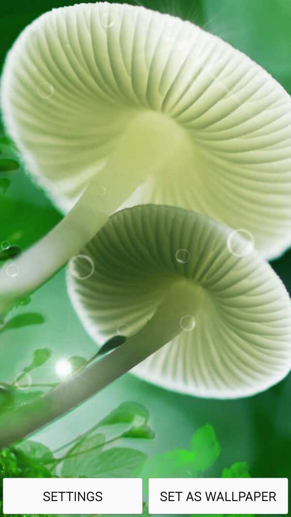 Mushrooms Live Wallpaper स्क्रीनशॉट 1