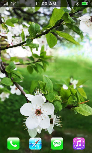 Spring Flowers Live Wallpaper screenshot 4