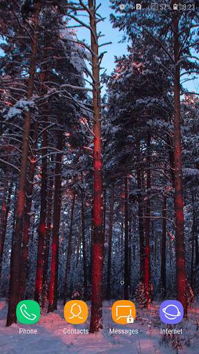 Forest Wallpaper screenshot 14