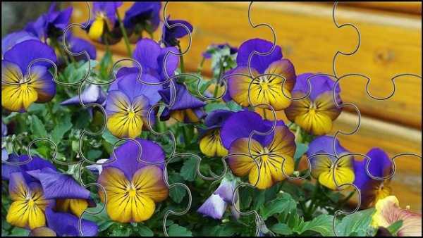 Garden Jigsaw Puzzles Game screenshot 4