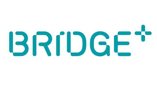 Bridge  screenshot 1