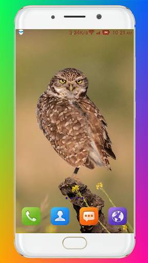 Bird Wallpaper HD screenshot 16