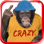 Bad Talking Monkey 1.1.1