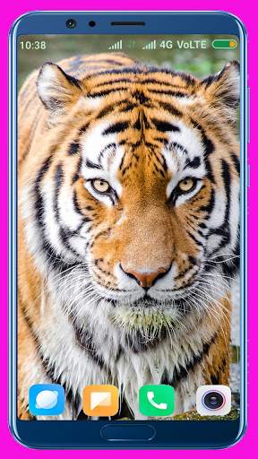 Tiger Wallpaper Best 4K screenshot 15