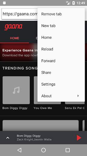 Triton - Mini Web Browser screenshot 6