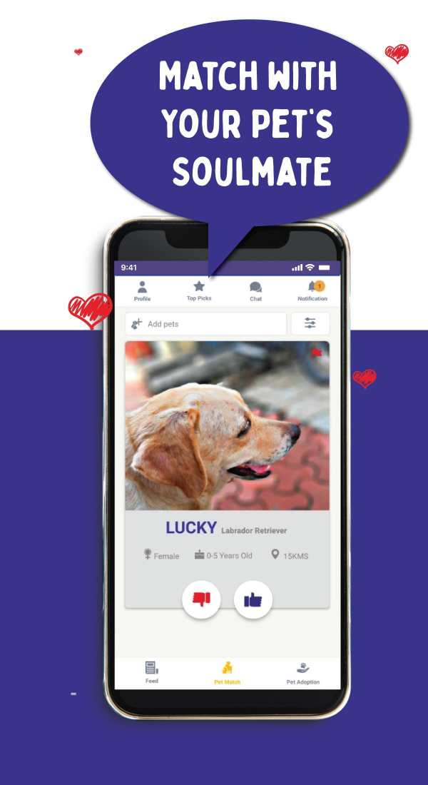 PetMate screenshot 3