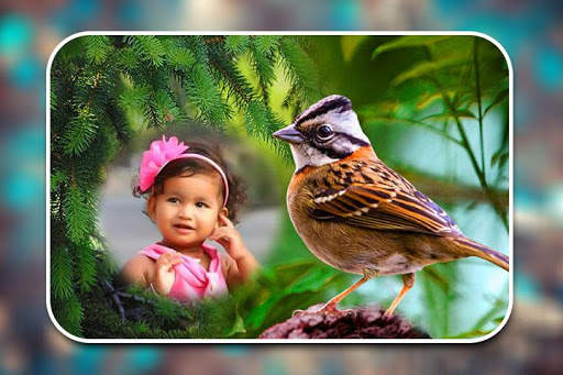 Birds Photo Frames screenshot 3