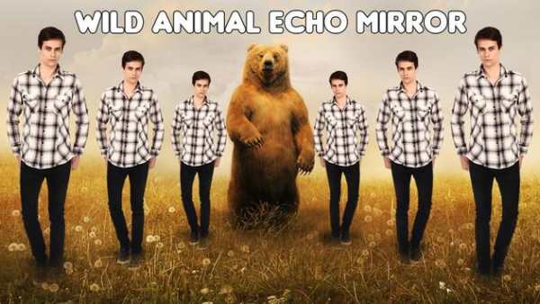Echo Mirror Animal Effect : Echo Mirror Style 3 تصوير الشاشة