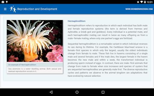 Reproduction and Development скриншот 2