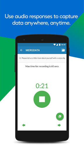 MERGDATA survey screenshot 7