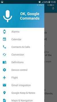 OK Google Commands (Helper) screenshot 1