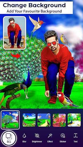 Bird Photo Editor screenshot 4