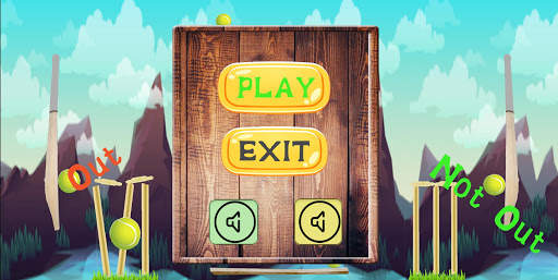Cricket Ball : New Cricket Game screenshot 5