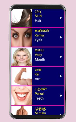 Learn Tamil From English скриншот 3