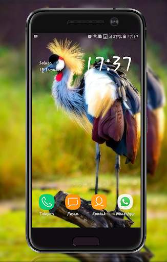 Bird Wallpaper screenshot 1