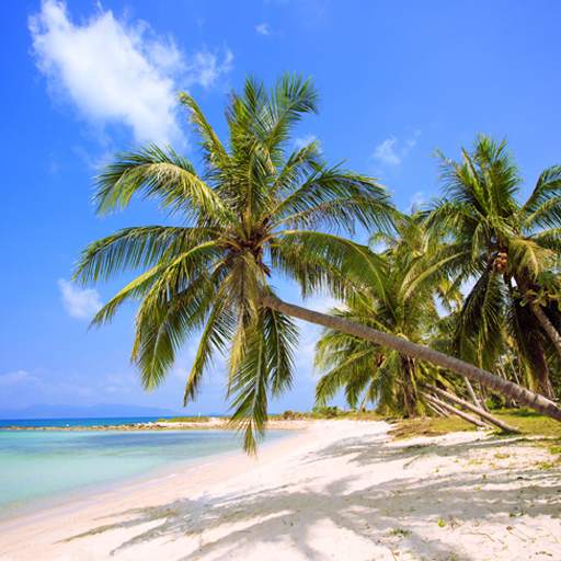 Tropical Paradise Wallpaper 1.0.5