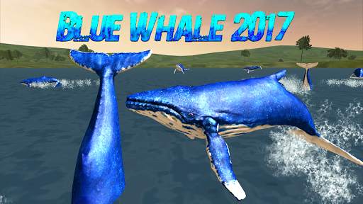 Blue Whale 2020 4 تصوير الشاشة