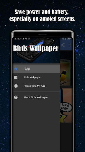 Birds Wallpaper स्क्रीनशॉट 4