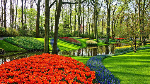 Garden HD Wallpaper screenshot 3