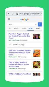 A Web Browser screenshot 5