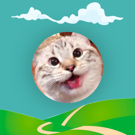 FastCat - Capture the fast cat icon