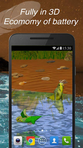 PRO Parrots 3D Live Wallpaper Love Birds स्क्रीनशॉट 4