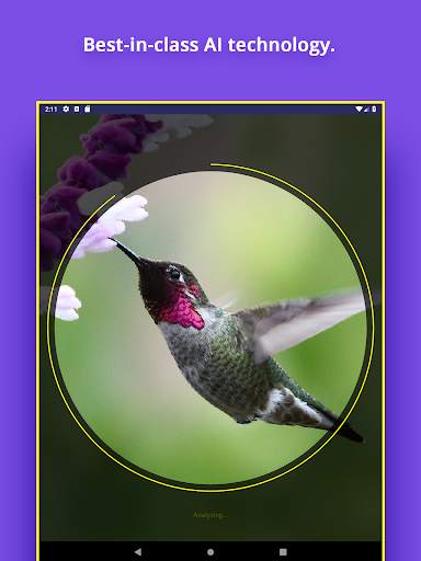 Bird Identifier screenshot 9