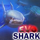 Guide Hungry Shark Evolution 1.0.1