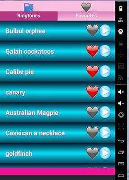 Birds Sounds Ringtones screenshot 2