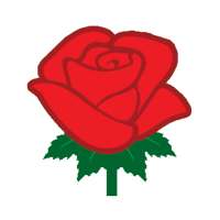 Zaker Party icon