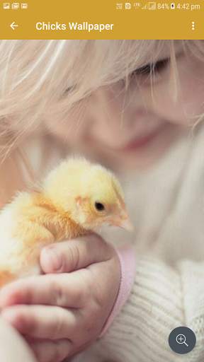 Chicks Wallpapers screenshot 3