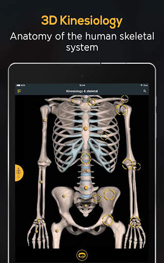 Anatomy by Muscle & Motion screenshot 12