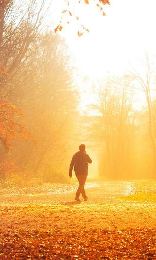 Autumn Live Wallpaper (wallpapers & backgrounds) screenshot 1