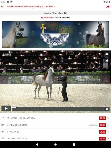 Arabian Essence TV screenshot 14