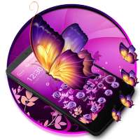 Sparkling Butterfly wand Theme on 9Apps