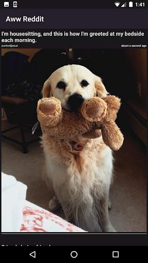 Aww Reddit screenshot 3