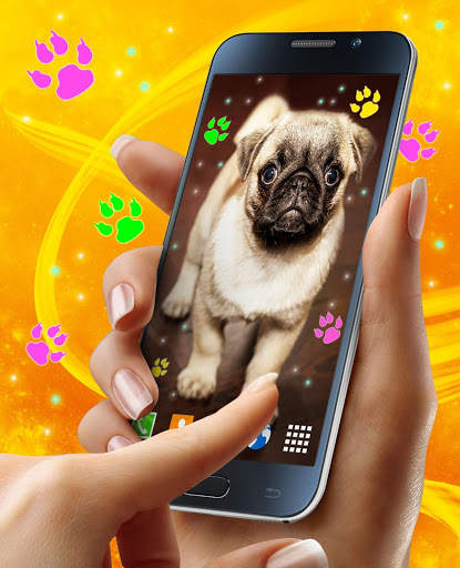 Cute Puppy Live Wallpaper 🐶 Dog Paws Wallpapers screenshot 2