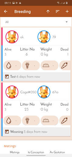 Rabbit Farm record management screenshot 3