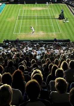 Bouncing Tennis Balls screenshot 1