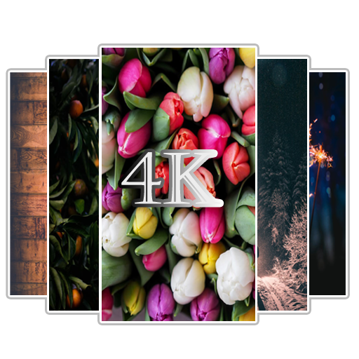 Wallpapers 4K - Auto Background Changer icon