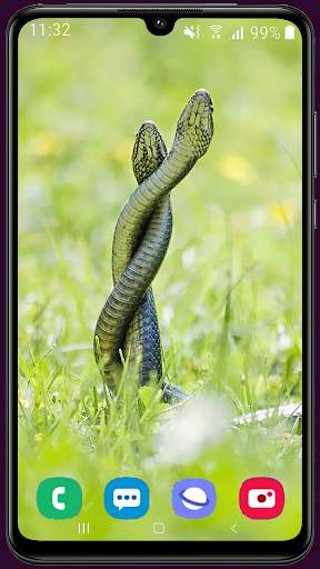 Snake Wallpaper Best HD screenshot 2