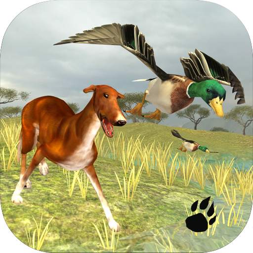Bird Dog Simulator 1.0