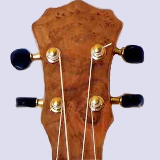Ukulele Chords & Scales (free) 03182