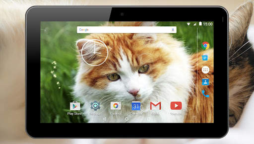 Cats Live Wallpaper screenshot 6