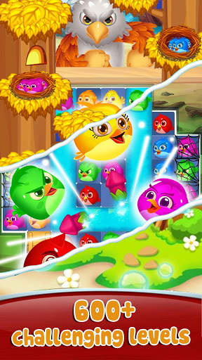 Bird Mania 2021 screenshot 4