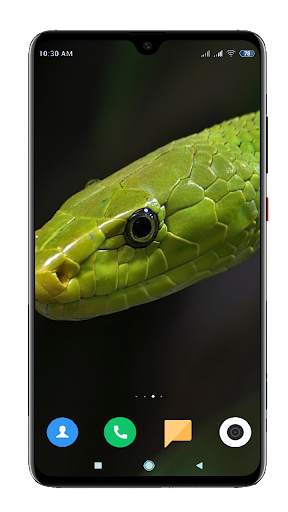 Snake Wallpaper HD screenshot 6